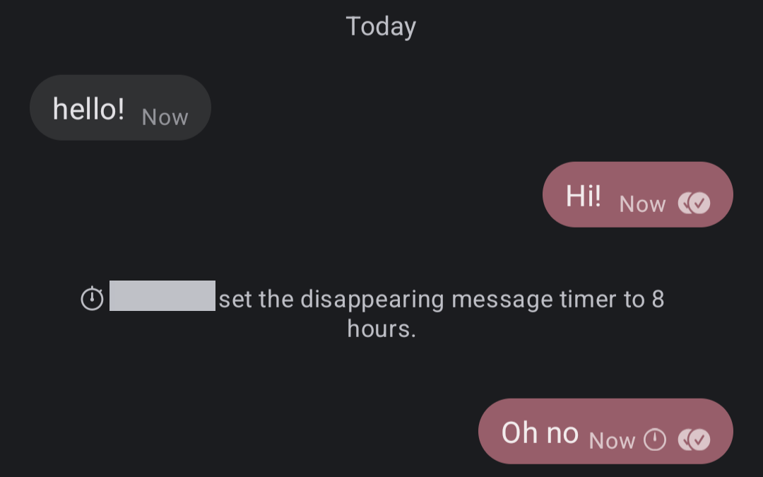 A screenshot of a text conversation. The other person says "hello!" and the screenshotter replies "Hi!" There is then a system message saying "Other person (blacked out) set the disappearing message timer to 8 hours." The screenshotter says "Oh no"